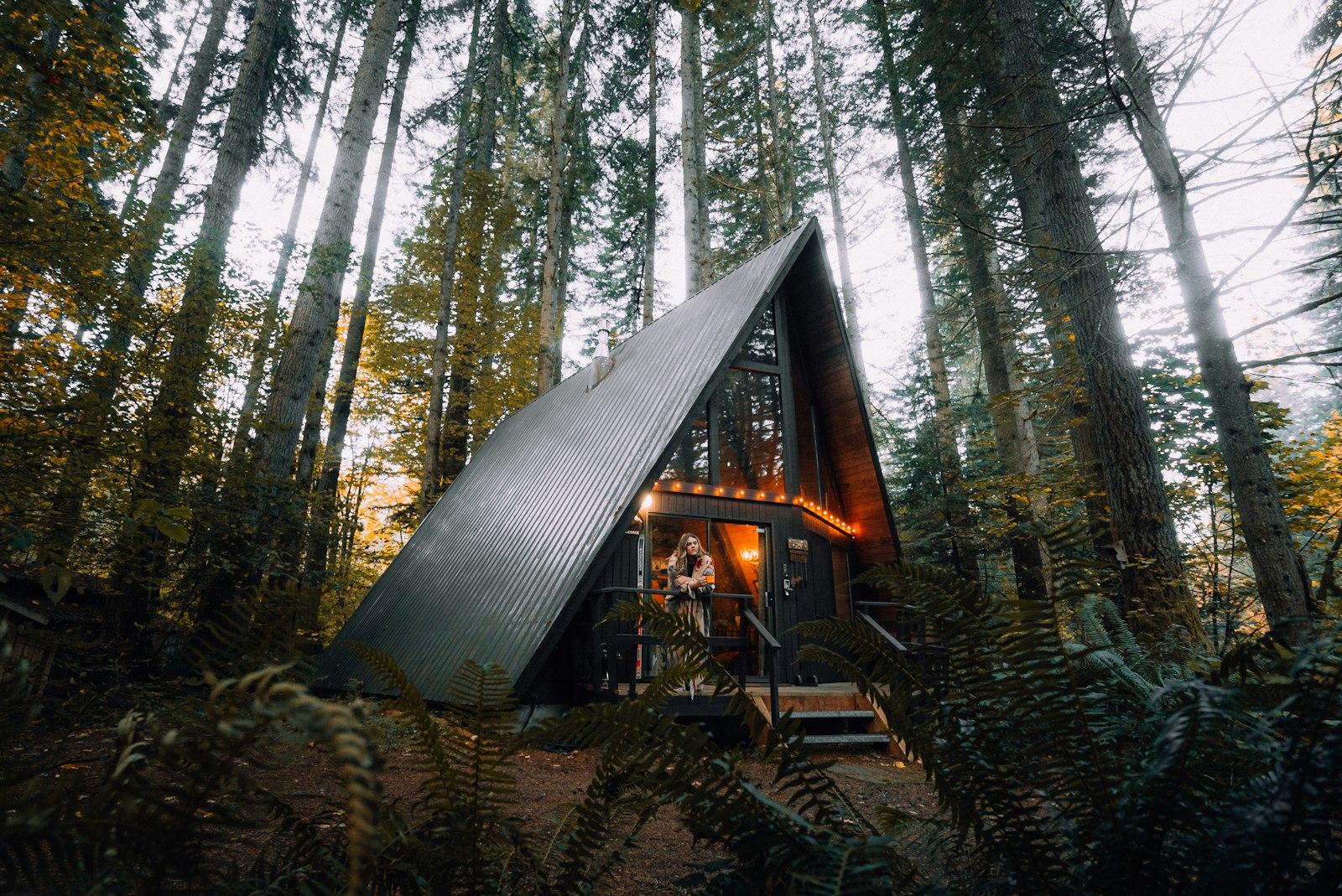 A small off-grid cabin in the forest at dusk, windows lit from within