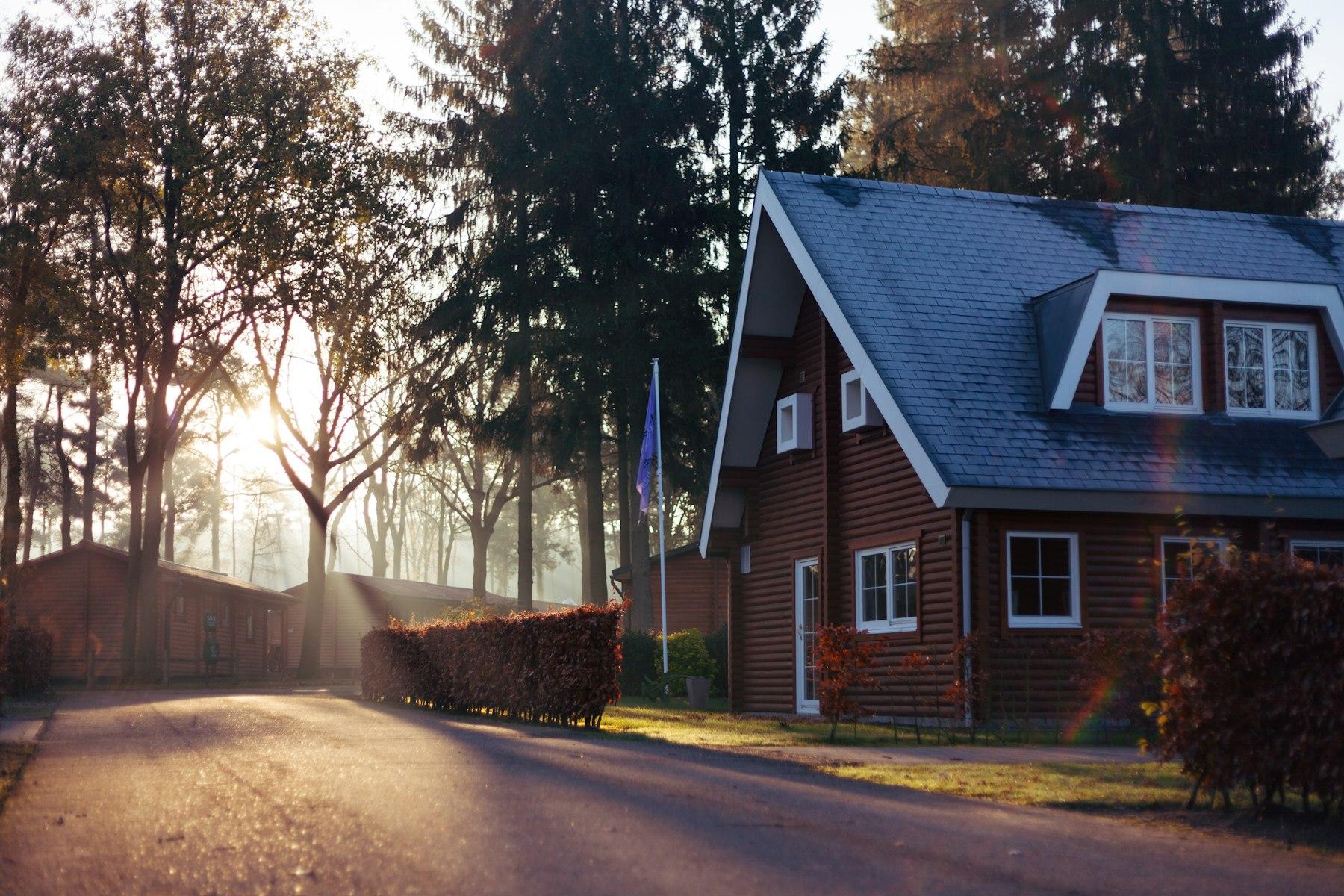 A wooden home tucked among tall trees, lit by warm morning sunlight